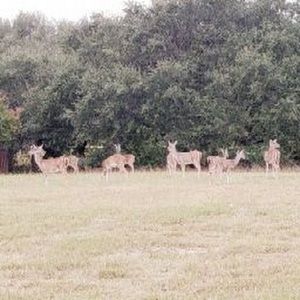 Meet your Posher, Graciela